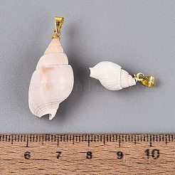 Ciondoli a spirale in ottone e conchiglia naturale&nbsp;SHEL-Q029-18KCG