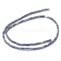 Perline sodalite naturale fili&nbsp;G-B004-A27