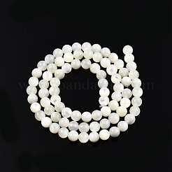 Natürliche weiße Muschelperlenstränge&nbsp;X-SSHEL-N003-144D-01