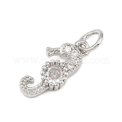 Ciondoli in ottone zirconi chiari micro pavé&nbsp;KK-G544-02P-01