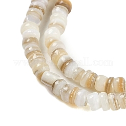 Natürlichen Süßwasser-Muschelperlen Stränge&nbsp;X-BSHE-H109-13A