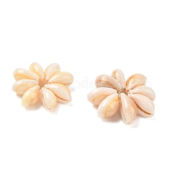 Perline di conchiglia di ciprea naturale&nbsp;SH-CBACA76-06