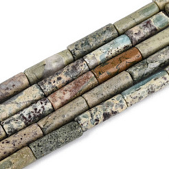 Shoushan Natursteinperlen Stränge&nbsp;G-T141-78A