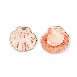 Coquilles Saint-Jacques naturelles gros pendentifs&nbsp;X-SSHEL-N038-12