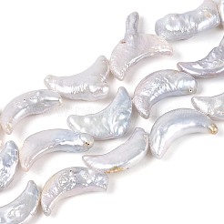 Perles de perles de keshi baroques naturelles&nbsp;PEAR-N020-P06-01B