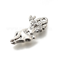 Tibetischer stil Aluminium Anhänger & Charms&nbsp;FIND-G078-01AS