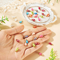 30 pendentif en coquillage d'eau douce naturel teint&nbsp;PALLOY-TAC0319