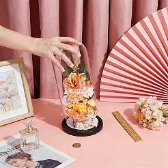Copertura a cupola in vetro trasparente&nbsp;ODIS-WH0177-017A-02
