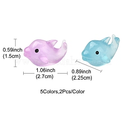 Decorazione display in resina luminosa 10 pz 5 colori&nbsp;DJEW-YW0001-03