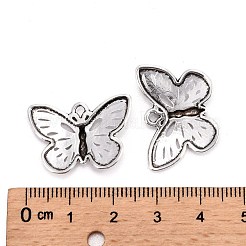 Tibetischer stil Aluminium Anhänger & Charms&nbsp;TIBEP-12742-S-FF