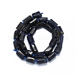 Naturperlen Stränge iolite&nbsp;G-O170-102