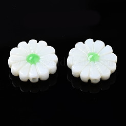 Cuentas de concha naturales de agua dulce&nbsp;SHEL-N026-143A-149C