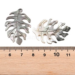 Natürliche schwarze Lippe Shell Anhänger&nbsp;SHEL-R100-07A-1