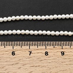 Galvanisierte Muschelperlenstränge&nbsp;BSHE-K017-2.5mm