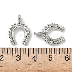 Legierung rhinestone-anhänger&nbsp;FIND-L024-10P
