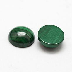 Kuppel natürliche Malachit cabochons&nbsp;G-O146-03D