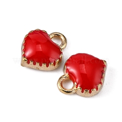 Charms del esmalte de la aleación&nbsp;ENAM-Q033-051D