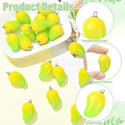 Mango-Anhänger aus undurchsichtigem Acryl&nbsp;FIND-CJZ0001-007