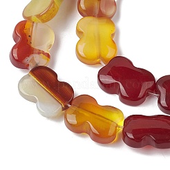Fili di perline agata rosso naturale&nbsp;G-K359-D01-01