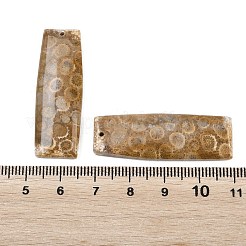 Natürliche fossile Korallenanhänger&nbsp;G-B187-01C-08