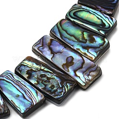 Naturelles Paua brins de perles&nbsp;BSHE-S305-01A