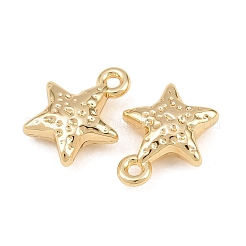 Pendentif en alliage &nbsp;AL-CBA83D5-07G