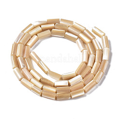 Natürliche Trochidschale / Trochusschalenperlenstränge&nbsp;SSHEL-S266-020B-01
