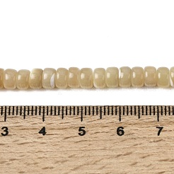 Natürliche Trochidschale / Trochusschalenperlenstränge&nbsp;SSHEL-S266-019B-03