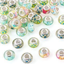 40pcs 4 Farben Harz europäische Perlen&nbsp;RPDL-TA0001-15