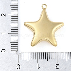 Ionenplattierung (IP) 304 Edelstahlanhänger&nbsp;STAS-P366-59G