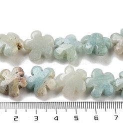 Fili di perline di amazzonite di fiori naturali&nbsp;G-F769-F01-01