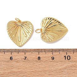 Messing Anhänger & Charms&nbsp;KK-C143-45B-G