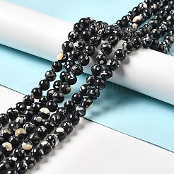 Fili di perle sintetiche turchesi e conchiglie montate&nbsp;G-D482-01D