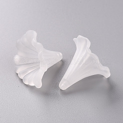 Transparente Acryl Perlen&nbsp;BSF796