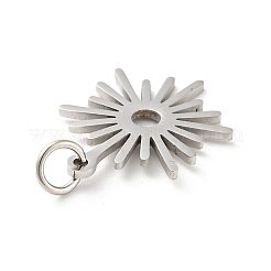 Pendentifs en acier inoxydable 201 anti-ternissement&nbsp;STAS-E015-01P