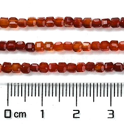 Chapelets de perles en cornaline naturelle&nbsp;G-Q002-C01-02