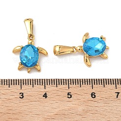 Pendentifs en acier inoxydable 304 et verre&nbsp;X-STAS-L309-20B-G