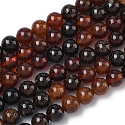 Hilos de cuentas de granate naranja africano natural&nbsp;G-K365-F01-6mm