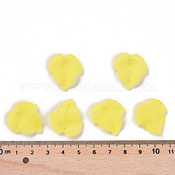 Pendentifs en acrylique givré transparent thème automne&nbsp;PAF002Y-17