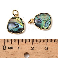 Natürliche Eieranhänger aus Paua-Muschel&nbsp;KK-G538-21G