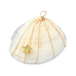 Natürliche Muschelschalen-Anhänger mit Kupferdraht umwickelt&nbsp;PALLOY-JF02056-02