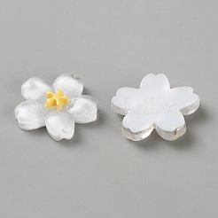 Cabochon Resion&nbsp;RESI-WH0038-36F