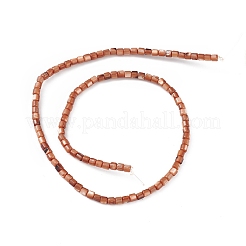 Natürliche&nbsp;X-SHEL-M018-14-02