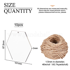 Sechseck transparente Acryl große Anhänger&nbsp;TACR-BC0001-11