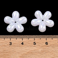 Beschichtung von undurchsichtigen Acryl-Imitationsmuschelperlen&nbsp;OACR-P039-04A