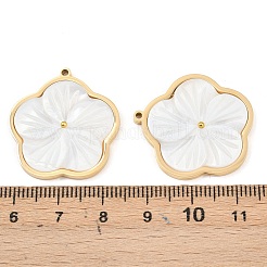 Pendenti shell bianco naturale&nbsp;STAS-C158-07B-G