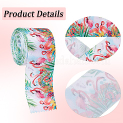 Ruban polyester imprimé 10 mètre&nbsp;OCOR-GF0002-47D