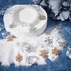 36pcs 6 pendentifs en alliage de style&nbsp;FIND-SC0004-63