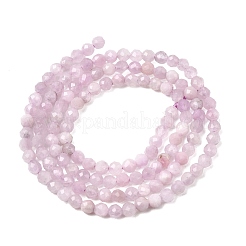 Naturperlen Stränge kunzite&nbsp;X-G-G343-B04-3mm