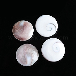 Natürliche Muschelschalen runde Dekorationen&nbsp;PW-WG89460-01